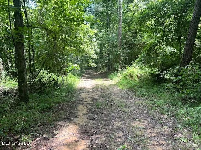 $839,500 | 12371 Mcnair Road, Roxie, MS 39661