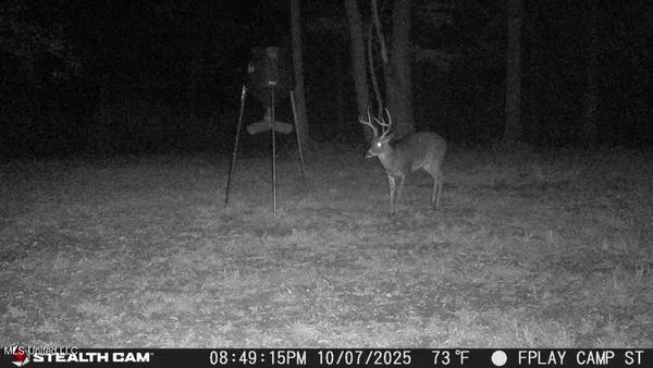 $839,500 | 12371 Mcnair Road, Roxie, MS 39661