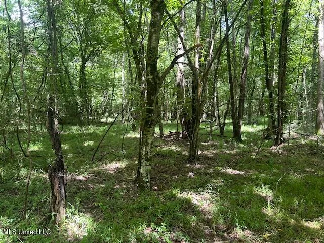 $839,500 | 12371 Mcnair Road, Roxie, MS 39661