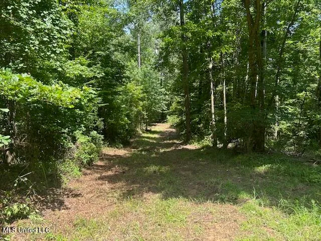 $839,500 | 12371 Mcnair Road, Roxie, MS 39661