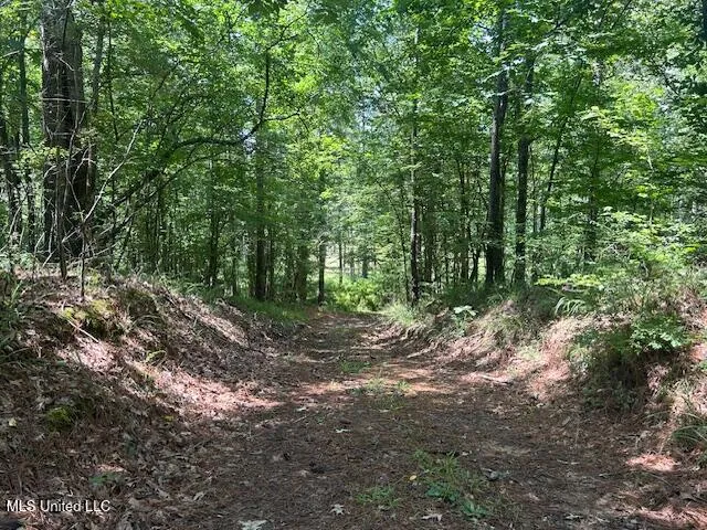 $839,500 | 12371 Mcnair Road, Roxie, MS 39661