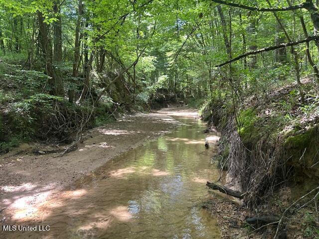 12371 Mcnair Road Roxie, MS 39661 - Photo 27 of 67 IMG_5266