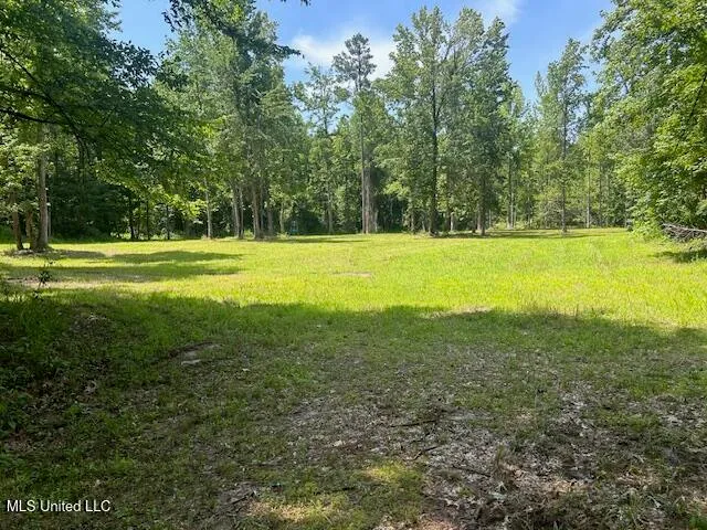 $839,500 | 12371 Mcnair Road, Roxie, MS 39661