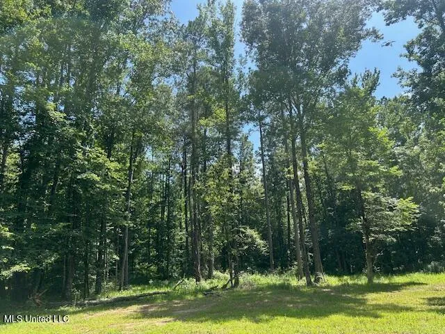 $839,500 | 12371 Mcnair Road, Roxie, MS 39661