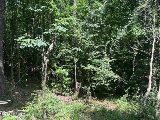 $839,500 | 12371 Mcnair Road, Roxie, MS 39661