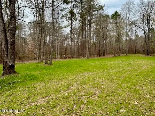 $839,500 | 12371 Mcnair Road, Roxie, MS 39661