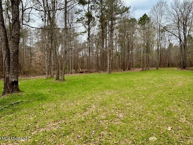 12371 Mcnair Road Roxie, MS 39661 - Photo 32 of 67 IMG_4663