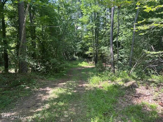 $839,500 | 12371 Mcnair Road, Roxie, MS 39661