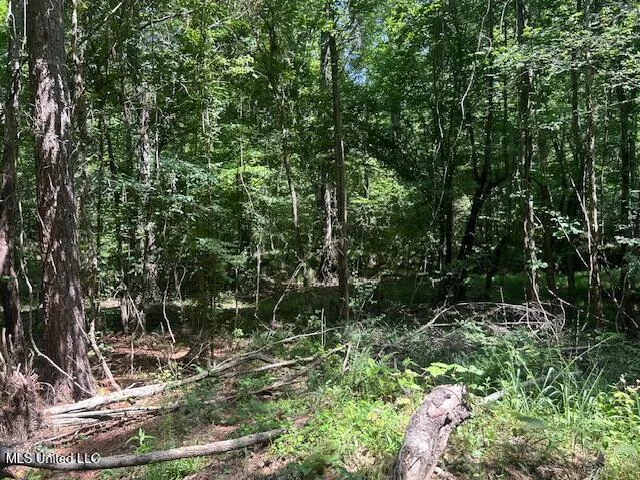 $839,500 | 12371 Mcnair Road, Roxie, MS 39661