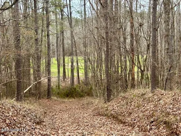 $839,500 | 12371 Mcnair Road, Roxie, MS 39661