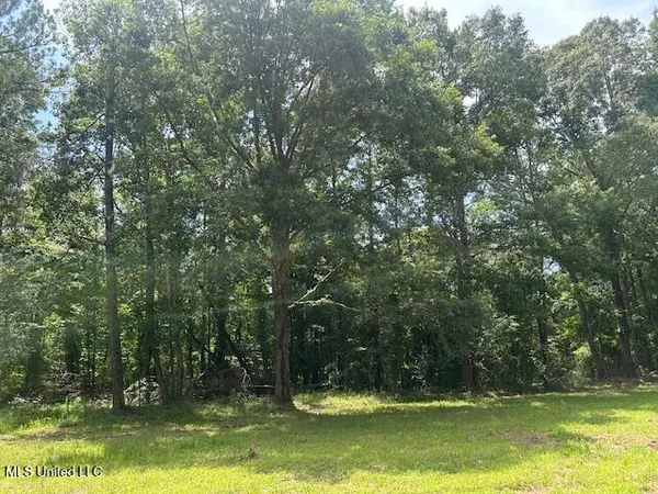 $839,500 | 12371 Mcnair Road, Roxie, MS 39661