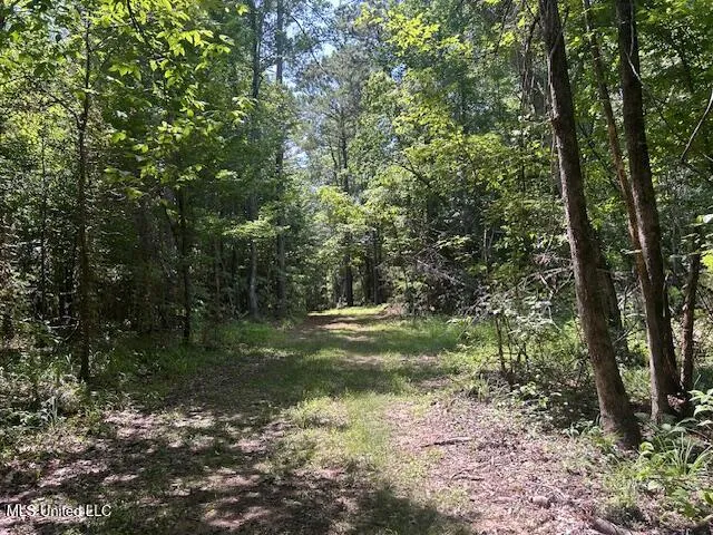 $839,500 | 12371 Mcnair Road, Roxie, MS 39661