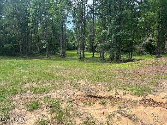 12371 Mcnair Road Roxie, MS 39661 - Photo 35 of 67 IMG_5263