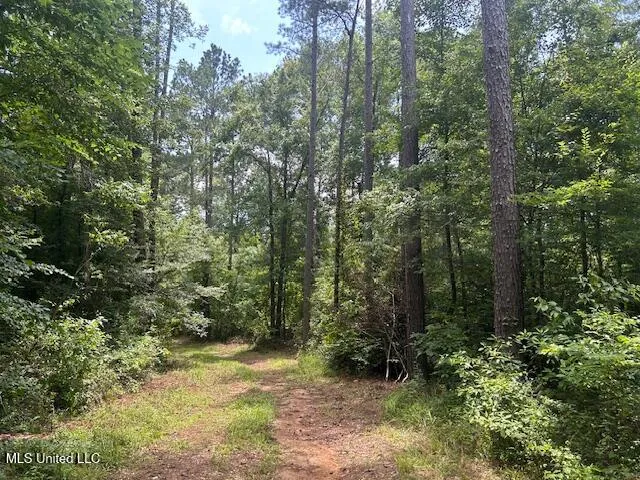 $839,500 | 12371 Mcnair Road, Roxie, MS 39661