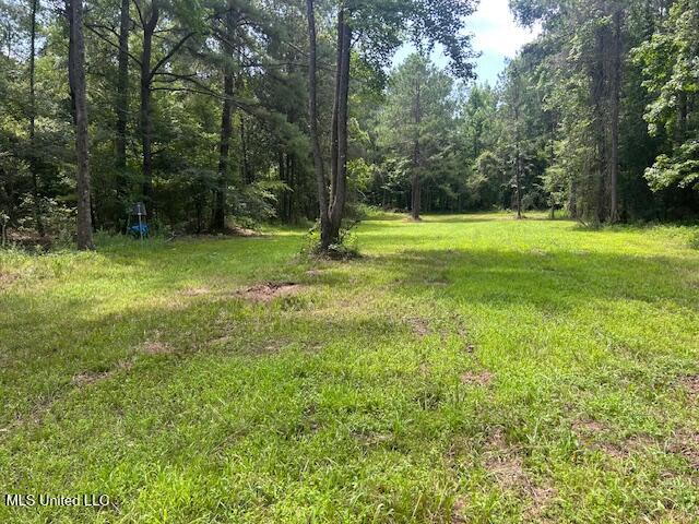 12371 Mcnair Road Roxie, MS 39661 - Photo 36 of 67 IMG_5264