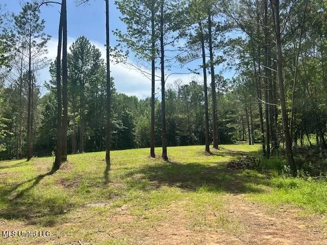 $839,500 | 12371 Mcnair Road, Roxie, MS 39661