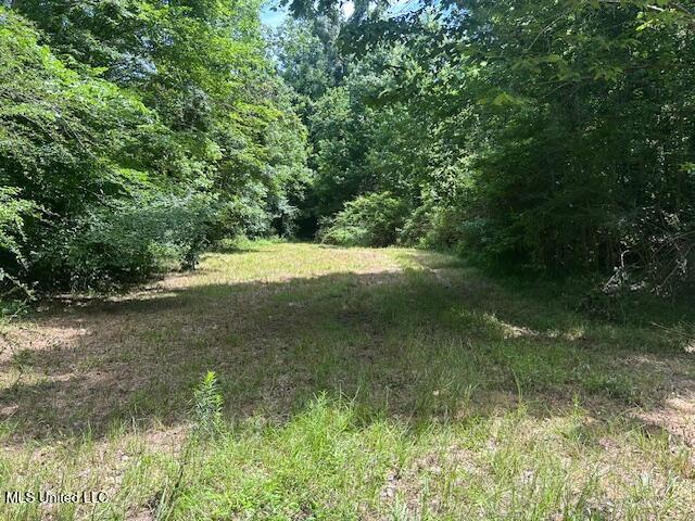 12371 Mcnair Road Roxie, MS 39661 - Photo 37 of 67 IMG_5267