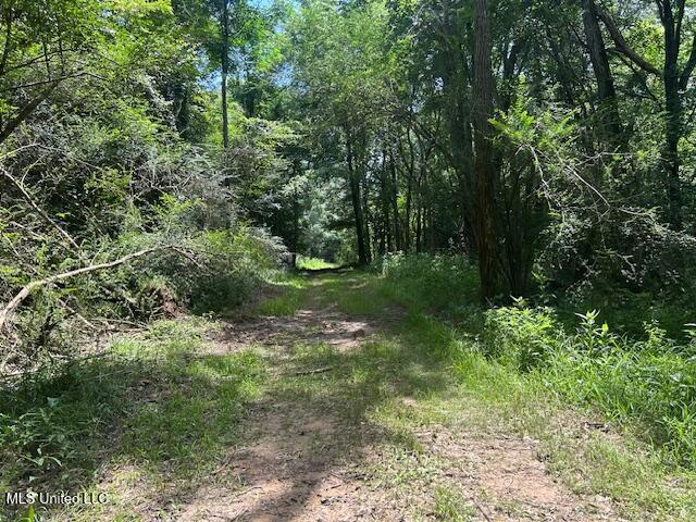 12371 Mcnair Road Roxie, MS 39661 - Photo 38 of 67 IMG_5268