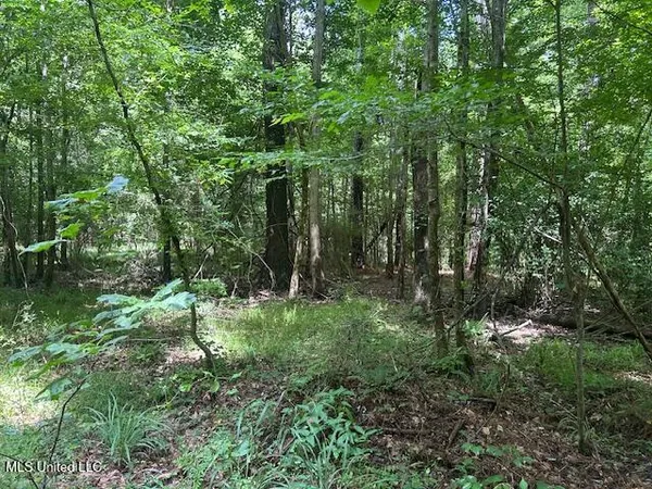 $839,500 | 12371 Mcnair Road, Roxie, MS 39661