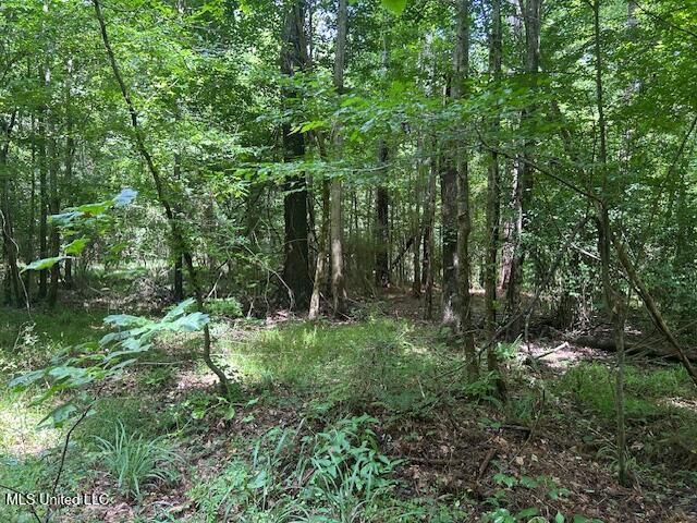 12371 Mcnair Road Roxie, MS 39661 - Photo 39 of 67 IMG_5270