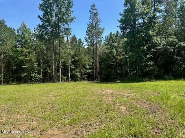 $839,500 | 12371 Mcnair Road, Roxie, MS 39661