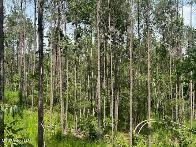 $839,500 | 12371 Mcnair Road, Roxie, MS 39661