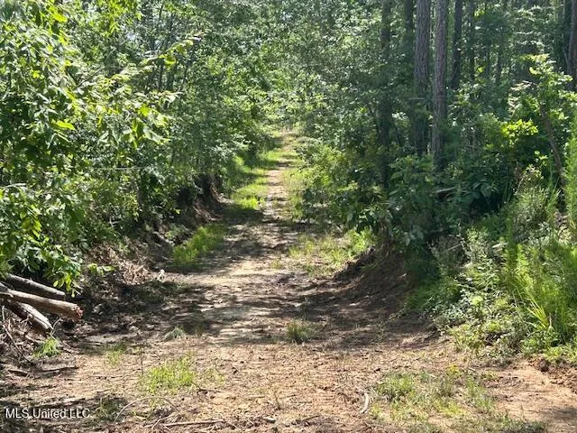 $839,500 | 12371 Mcnair Road, Roxie, MS 39661