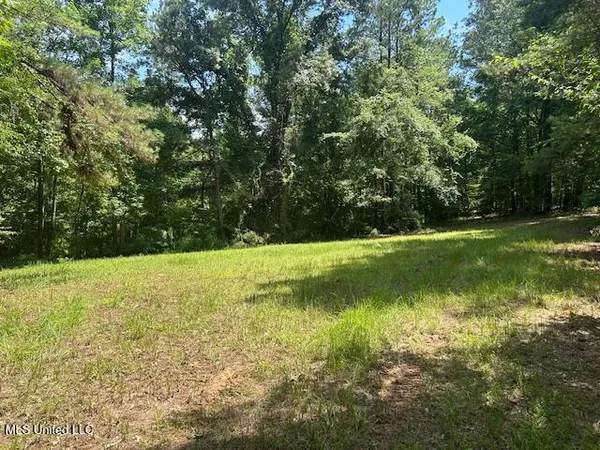 $839,500 | 12371 Mcnair Road, Roxie, MS 39661