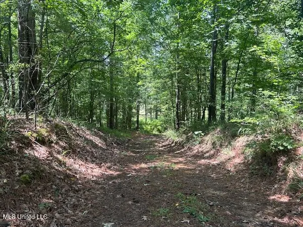 $839,500 | 12371 Mcnair Road, Roxie, MS 39661