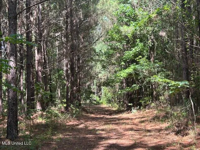 $839,500 | 12371 Mcnair Road, Roxie, MS 39661