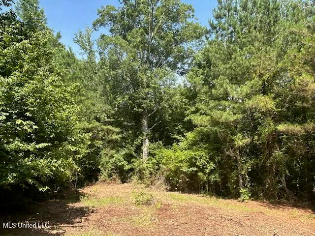 $839,500 | 12371 Mcnair Road, Roxie, MS 39661