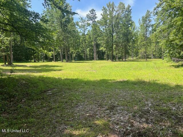 12371 Mcnair Road Roxie, MS 39661 - Photo 44 of 67 IMG_5276