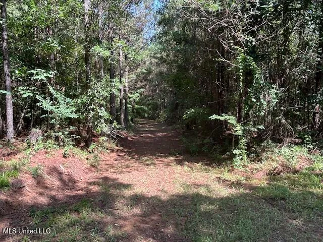 $839,500 | 12371 Mcnair Road, Roxie, MS 39661