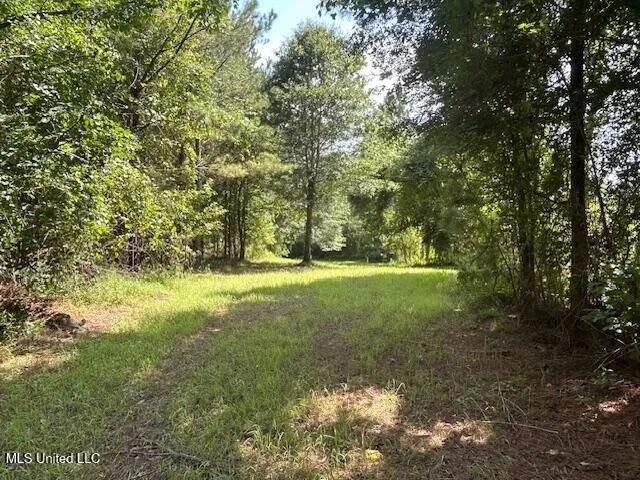 $839,500 | 12371 Mcnair Road, Roxie, MS 39661