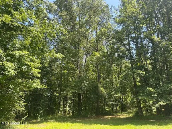 $839,500 | 12371 Mcnair Road, Roxie, MS 39661