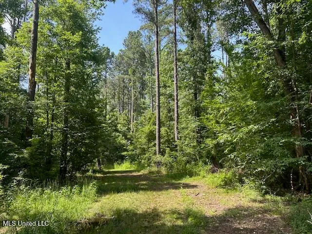 $839,500 | 12371 Mcnair Road, Roxie, MS 39661