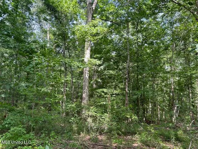 $839,500 | 12371 Mcnair Road, Roxie, MS 39661