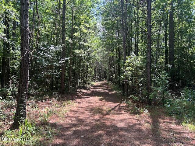 12371 Mcnair Road Roxie, MS 39661 - Photo 50 of 67 IMG_5283