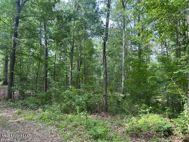 $839,500 | 12371 Mcnair Road, Roxie, MS 39661