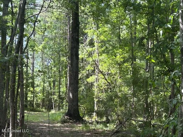 $839,500 | 12371 Mcnair Road, Roxie, MS 39661