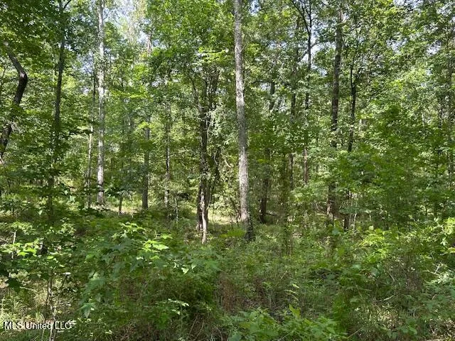 $839,500 | 12371 Mcnair Road, Roxie, MS 39661