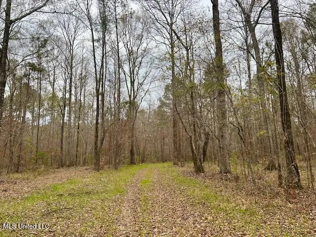 $839,500 | 12371 Mcnair Road, Roxie, MS 39661