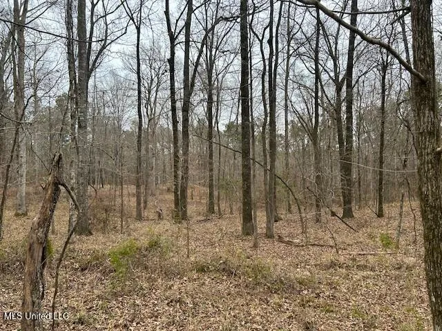 $839,500 | 12371 Mcnair Road, Roxie, MS 39661