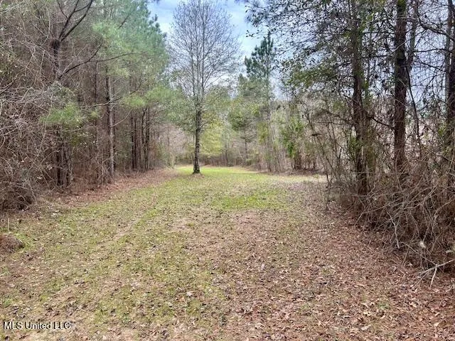 $839,500 | 12371 Mcnair Road, Roxie, MS 39661