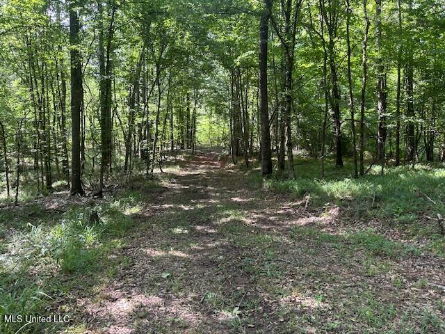 12371 Mcnair Road Roxie, MS 39661 - Photo 59 of 67 IMG_5303
