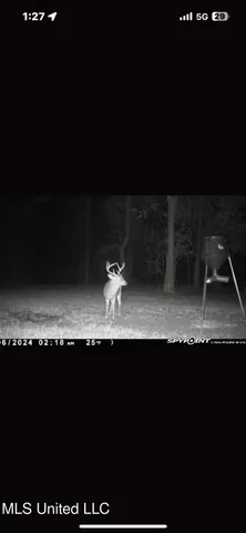 $839,500 | 12371 Mcnair Road, Roxie, MS 39661