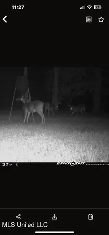 $839,500 | 12371 Mcnair Road, Roxie, MS 39661