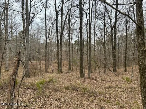 $839,500 | 12371 Mcnair Road, Roxie, MS 39661