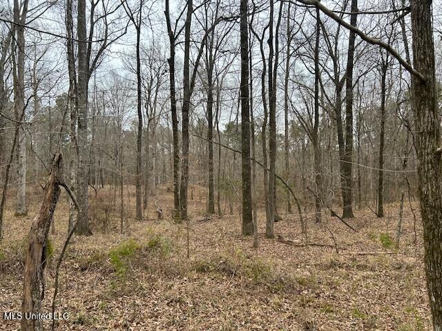 12371 Mcnair Road Roxie, MS 39661 - Photo 63 of 67 IMG_4679