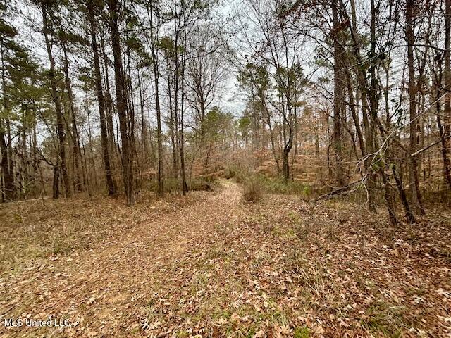 12371 Mcnair Road Roxie, MS 39661 - Photo 64 of 67 IMG_4641